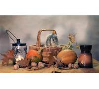 OZLHSP what if jigsaw puzzles 500 pieces Sea Lantern Nuts Animal 52x38cm
