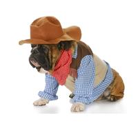 OZLHSP wonders of the world jigsaw 1000 piece Bulldog Animals 75x50cm