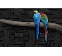 OZLHSP wonders of the world jigsaw 1500 piece Animal 87x57cm