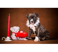 OZLHSP wonders of the world jigsaw 1500 piece Animals 87x57cm