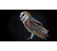 OZLHSP wonders of the world jigsaw 1500 piece Owl Animals 87x57cm