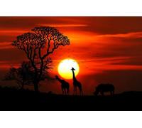 OZLHSP wooden jigsaw 500 piece Giraffes Rhinoceroses of the Sun 52x38cm