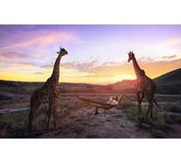 OZLHSP wooden toys for jigsaw puzzles 500 piece Giraffes Animals 52x38cm
