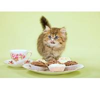 OZLHSP worlds hardest jigsaw puzzle 1000 pieces Kittens Cake Animals 75x50cm