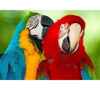 OZLHSP worlds hardest jigsaw puzzle 1000 pieces Macaw Parrots Animals 75x50cm