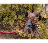 OZLHSP worlds hardest jigsaw puzzle 1500 pieces Animals Sphinx 87x57cm