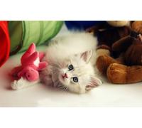OZLHSP worlds hardest jigsaw puzzle 1500 pieces Kittens Animal 87x57cm