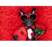 OZLHSP worlds smallest jigsaw puzzle 1000 Bulldog Lovers 75x50cm