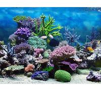 OZLHSP worlds smallest jigsaw puzzle 1000 Fish Animal 75x50cm