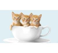 OZLHSP worlds smallest jigsaw puzzle 1000 Kittens Kittens Animals 75x50cm