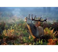 OZLHSP worlds smallest jigsaw puzzle 1500 Deer Animals 87x57cm