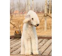 OZLHSP worlds smallest jigsaw puzzle 500 Animals 52x38cm