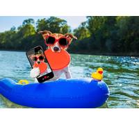 OZLHSP worlds smallest jigsaw puzzle 500 Boats 52x38cm