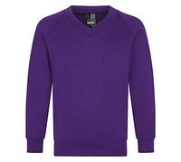 Ozmoint School Uniform Unisex Boys Girls Ladies Mens Adult Children Plain V- Neck Sweatshirt 270GSM (24"- XXL) Eleven Colours V- Neck Sweatshirts Purple