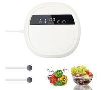 Ozone Generator for Water and Air, Air Purifier Negative Ion Purifier | Fruit and Vegetable Food Cleaning Ozone Machine, Remove Odor for Home and Car, with 12V Converter