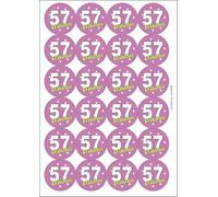 Ozorath 57 Fifty Seven Seventh 57th Fabulous Birthday Matt Paper Stickers