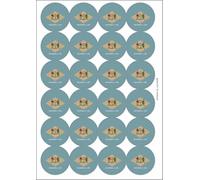 Ozorath Delaware United States State Flag Matt Paper Stickers
