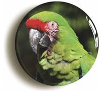 Ozorath Green Macaw Button Badge