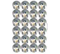 Ozorath Peregrine Falcon Matt Paper Stickers