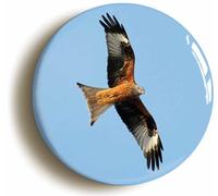 Ozorath Red Kite Bird Watching Button Badge (2inch / 50mm diameter)