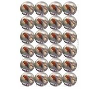 Ozorath Robin Red Breast Bird Matt Paper Stickers