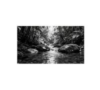 OZPWBVY Black White Landscape Wall Art. Tree River. Picture 80x145cm Framed