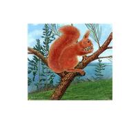 OZPWBVY Famous Paintings Wall Art-Canvas Artwork Pictures-Squirrel on Pine Branch-Poster and Prints for Living Room Bedroom Home 40x45cm16x17in Unframed