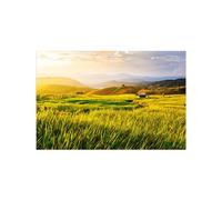 OZPWBVY Landscape Canvas Prints Painting-Autumn Field-Nature Wall Art Picture-Poster for Living Room Bathroom Decor 60x90cm24x35in Unframed