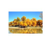 OZPWBVY Landscape Canvas Prints Painting-Autumn Tree Lake-Nature Wall Art Picture-Poster for Living Room Bathroom Decor 40x60cm16x24in Unframed