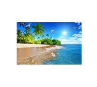 OZPWBVY Landscape Canvas Prints Painting-Beach Sea Tree-Nature Wall Art Picture-Poster for Living Room Bathroom Decor 80x120cm31x47in Unframed