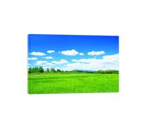 OZPWBVY Landscape Canvas Prints Painting-Field Clouds Sky-Nature Wall Art Picture-Poster for Living Room Decor Ready to Hang 80x120cm31x47in Wrapped Canvas