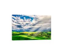 OZPWBVY Landscape Canvas Prints Painting-Grassland Forest Clouds-Nature Wall Art Picture-Poster for Living Room Decor Ready to Hang 60x90cm24x35in Wrapped Canvas