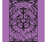 Ozric Tentacles - The Bits Between The Bits