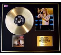 OZZY OSBOURNE/CD GOLD DISC/RECORD & PHOTO DISPLAY/LTD. EDITION/COA/BLIZZARD OF OZZ