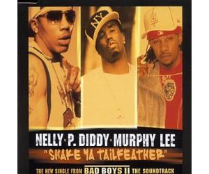 P Diddy - Shake Ya Tailfeather