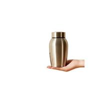 P.J homsv Small Cremation Urns for Dogs Cats Ashes Stainless Steel Silver Pet Urns Loss Sympathy Gift Keepsake