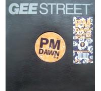 P.M. Dawn - A watcher's point of view (Underground Mix) [VINYL]