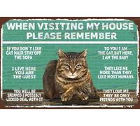 p&p homeware Funny Cat Metal Bar Sign Father's Day Man Cave Tin Retro Hanging Wall Plaque Kitchen Shed Vintage Pub Garage signs X Large (30cm x 20cm)