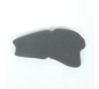 P2R Sym 50 Mio Scooter Air Filter