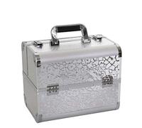 P9IDEDFH Makeup Professional Adjustable - 4 Trays Cosmetic Cases Makeup Storage Box with Lock and Compartments,32x21x26cm,2, silver