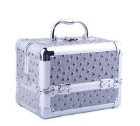 P9IDEDFH Makeup Professional Adjustable - 4 Trays Cosmetic Cases Makeup Storage Box with Lock and Compartments, 23 x 15 x 16 cm, Grey (Gray)