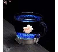 PA-DABAOO 0.58 Gallon Bowl-Shaped Fish Tank,Transparent Glass Hydroponics Plant Vase,Small Aquarium with Decorative Accessories,Multipurpose Round Fish Bowl,Desktop Decoration,B