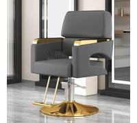 PA-DABAOO Barber Chairs for Barbershop, Heavy Duty Hair Styling Chairs,with Stable Base,360 Degrees Rolling,Classic Styling Salon Chair,Beauty Spa Equipment,Height Adjustable,Gray