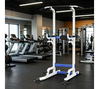 PA-DABAOO Indoor Power Tower Pull Up Bar,Multi-Function Home Strength Training Equipment,Adjustable Height Dip Station with Steel Frame,Training Fitness Workout Station,Blue