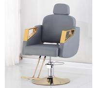 PA-DABAOO Reclining Barber Salon Chair, Comfortable Stylist Chair with Spongs,Professional Recline Shampoo,Height Adjustable, 360 Degrees Rotation,Upgraded Salon Beauty Equipment,Gray