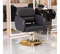 PA-DABAOO Salon Chair for Hair Stylist,Styling Chair for Salons & Barbershops,Height Adjustable Hydraulic Hair Barber Chair,Professional Beauty Spa Equipment,360 Degrees Swivel,Black