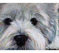PAAANING DIY Oil Painting Kit, Westie Dog Paint by Numbers, 16x20inches, Art Craft Kit for Adults