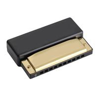 Paaruter 10 Hole Blues Harmonica C Key Student Children Early Education Puzzle Musical Instrument Educational Toy Gold
