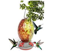 Paaruter Garden Bird Feeders for Outdoors Hanging, Bird Gifts for Women, Blown Glass Bird Feeder B