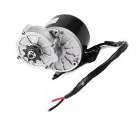 Paaruter Gear Reduction Electric Motor EEbike Scooter Gear Reduction Motor Brushless DC Motor Electric Vehicle